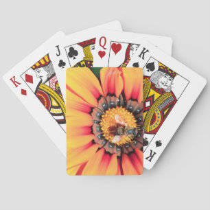 Extreme Nah-up einer Biene, die Pollen sammelt Spielkarten