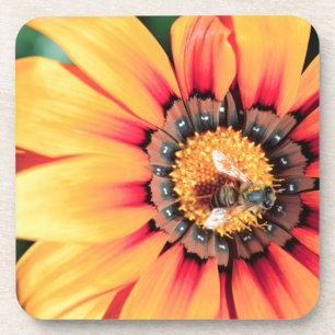 Extreme Nah-up einer Biene, die Pollen sammelt Untersetzer