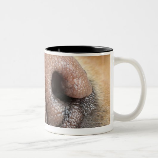 Extreme Nahaufnahme einer Hundenase Zweifarbige Tasse (Rechts)