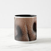 Extreme Nahaufnahme einer Hundenase Zweifarbige Tasse (Mittel)