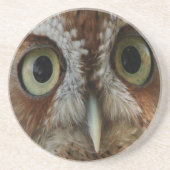 Extreme Owl Sandstein Untersetzer (Vorne)
