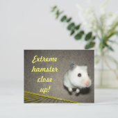 ExtremHamster Nahe Postkarte (Stehend Vorderseite)