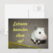 ExtremHamster Nahe Postkarte (Vorne/Hinten)