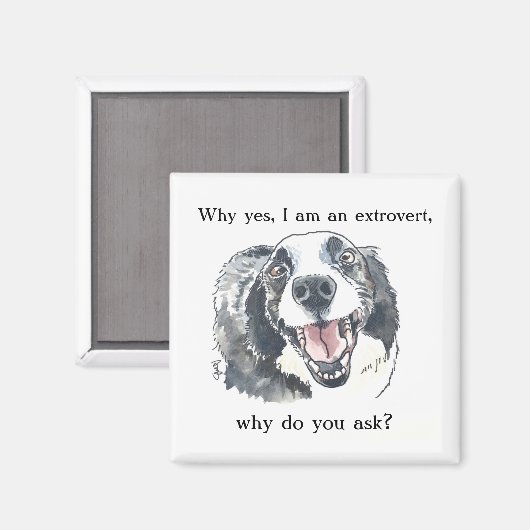 Extroverter Pride-Kühlschrankmagnet Magnet (Vorderseite/Rückseite)