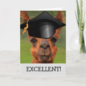 Exzellenter Llama-Abschluss Karte (Vorderseite)