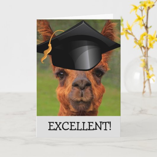 Exzellenter Llama-Abschluss Karte (Gelbe Blume)