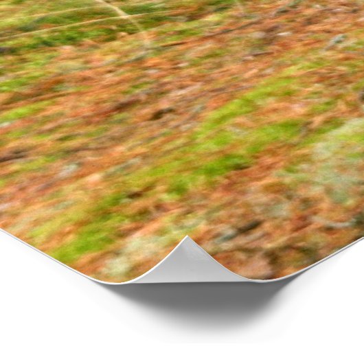 Exzellenz Poster (Ecke)