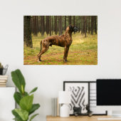 Exzellenz Poster (Heimbüro)