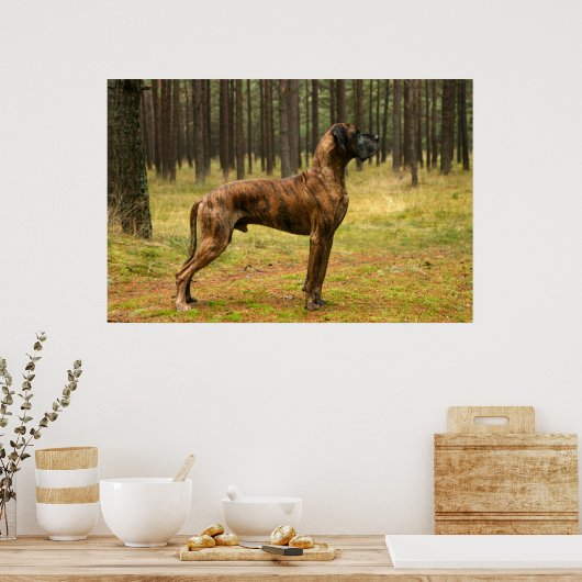 Exzellenz Poster (Küche)