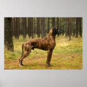 Exzellenz Poster (Vorne)