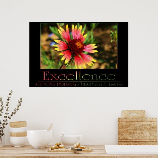 Exzellenz Poster (Küche)