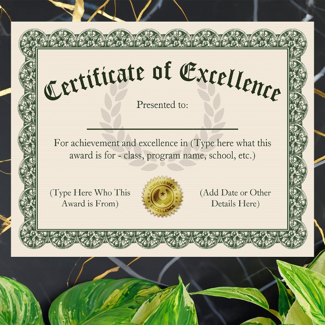 Exzellenzzertifikat, anpassbar 8.5x11 (customizable certificate of excellence)