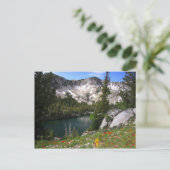 Eye Candy Postcard Postkarte (Stehend Vorderseite)