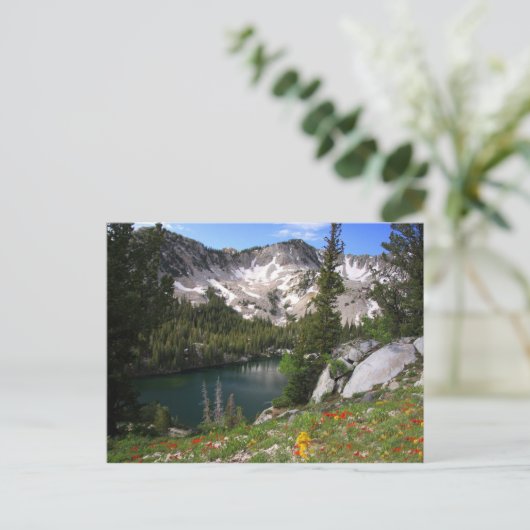 Eye Candy Postcard Postkarte (Stehend Vorderseite)