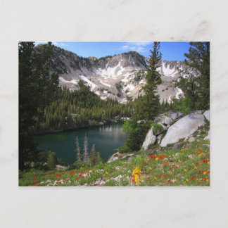 Eye Candy Postcard Postkarte