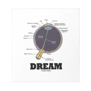 Eye Dream Anatomisches Menschliches Augapfel Humor Notizblock