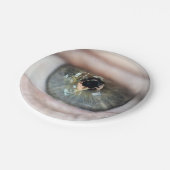 Eye-Macro von Shirley Taylor Pappteller (Schrägansicht)