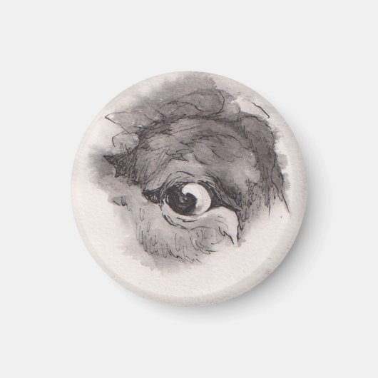 Eye of the Bison – Gaze Collection Magnet (Vorne)