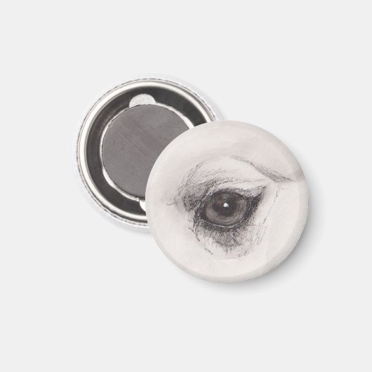 Eye of the Camel – Gaze Collection Magnet (Vorderseite/Rückseite)