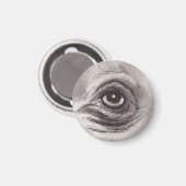 Eye of the Hippo – Gaze Collection Magnet (Vorderseite/Rückseite)