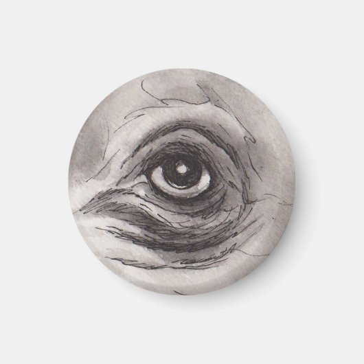 Eye of the Hippo – Gaze Collection Magnet (Vorne)