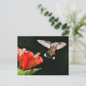 Eye On the Prize Postkarte (Stehend Vorderseite)