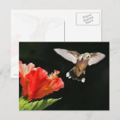 Eye On the Prize Postkarte (Vorne/Hinten)