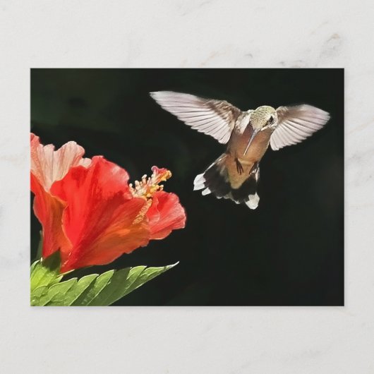 Eye On the Prize Postkarte (Vorderseite)