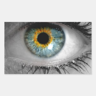 Eye schaut auf das Makro des Viewer-Konzepts Rechteckiger Aufkleber