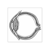 Eye See You Rubber Briefmarke Gummistempel (Prägung)