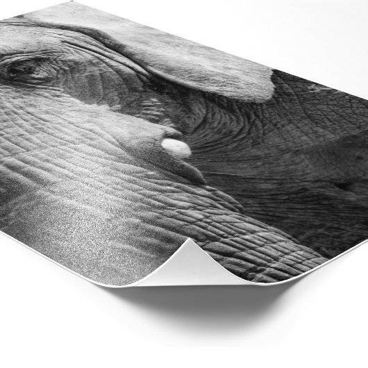 Eye Spy Fotodruck (Ecke)