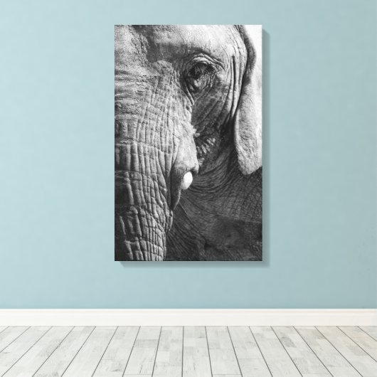 Eye Spy Leinwanddruck (Insitu (Holzboden))