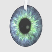 Eyeball Blue Green Gift Hübsch Ornament (Vorderseite)