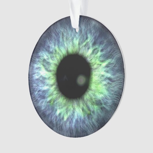 Eyeball Blue Green Gift Hübsch Ornament (Vorderseite)