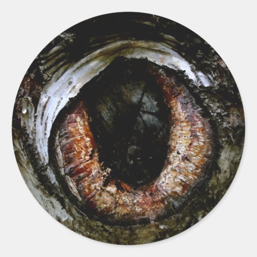 Eyeball-Sticker Runder Aufkleber (Vorderseite)