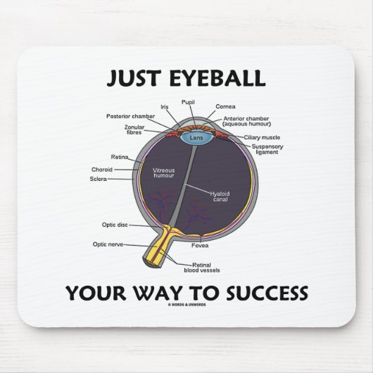 Eyeball your way to Success (Augenanatomie) Mousepad (Vorne)