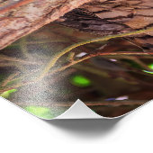 Eyes of the Night: Great Horned Owl Fotodruck (Ecke)