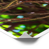 Eyes of the Night: Great Horned Owl Poster (Ecke)