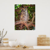 Eyes of the Night: Great Horned Owl Poster (Küche)