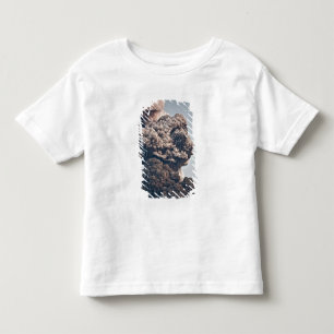 Eyjafjalljokull vulkanische Eruption Kleinkind T-shirt