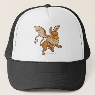 Eyrie Brown Truckerkappe