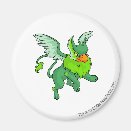 Eyrie Green Magnet (Vorne)