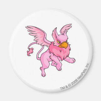 Eyrie Pink Magnet