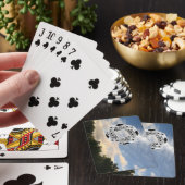 Ezekieler Rad Spielkarten (In Situ)