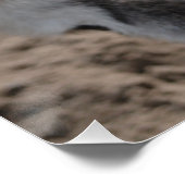 Ezel donkey  poster (Ecke)