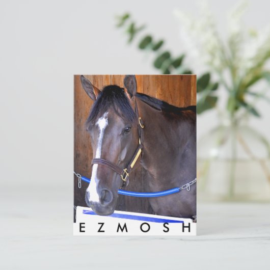 Ezmosh Postkarte (Stehend Vorderseite)