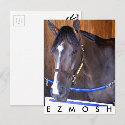 Ezmosh Postkarte (Vorne/Hinten)