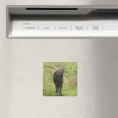 Ezo Deer Magnet (In Situ (Geschirrspüler))
