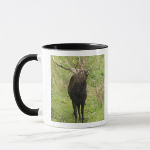 Ezo Rotwild Tasse