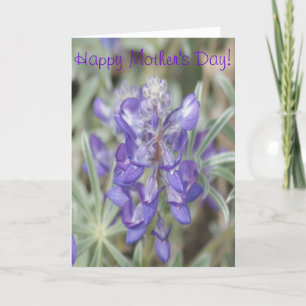 F0018 Lila Wildblumen Einjährige Lupine Karte